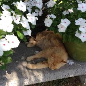 Meet your Posher, Marsha